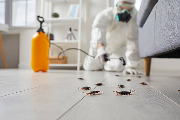 Commercial Kitchen Cockroach Control in Benson